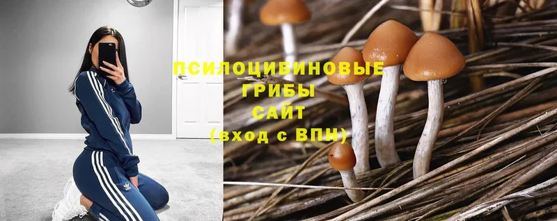 Псилоцибиновые грибы MAGIC MUSHROOMS  Краснокаменск 